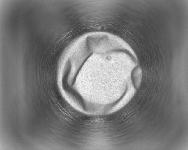 X0000051860656200507221858