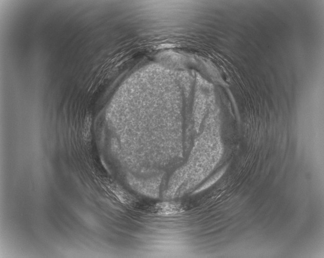 X0000051860660200507221858