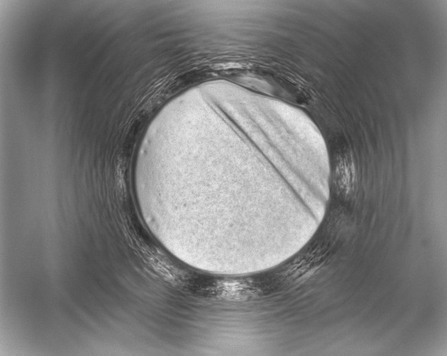 X0000051860662200507221858