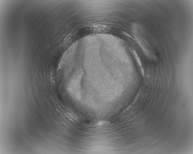 X0000051860663200507221858