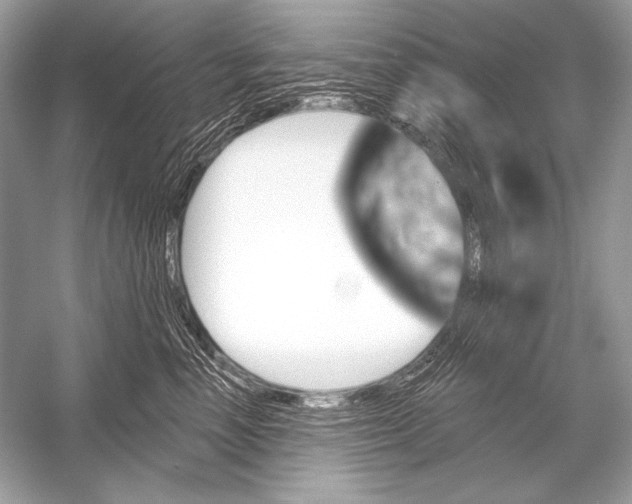 X0000051860666200507221858