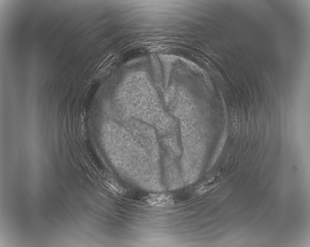 X0000051860667200507221858