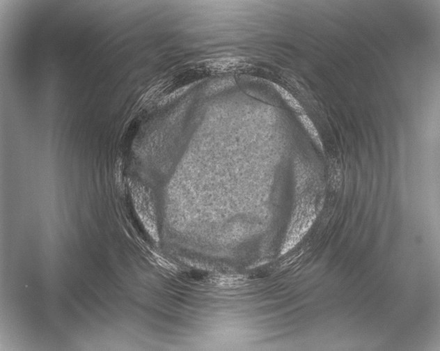 X0000051860670200507221858