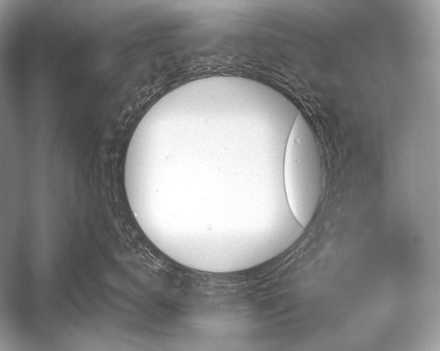 X0000051860672200507221858