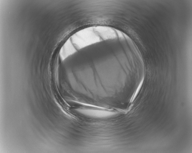 X0000051860674200507221857