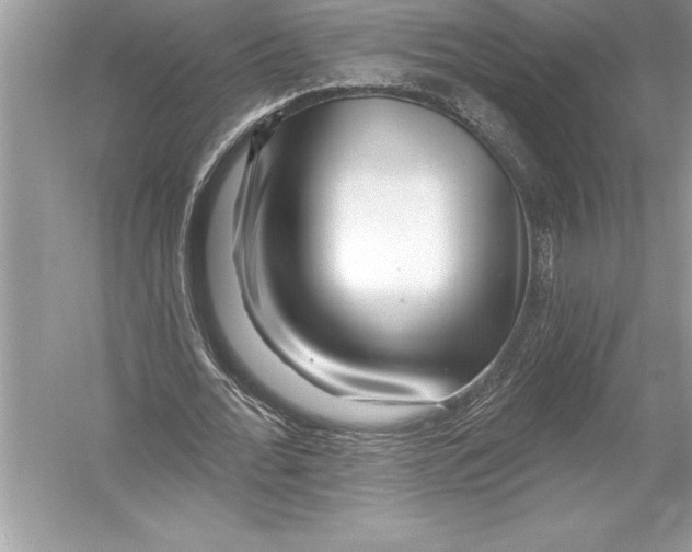 X0000051860676200507221857