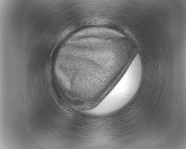 X0000051860679200507221857