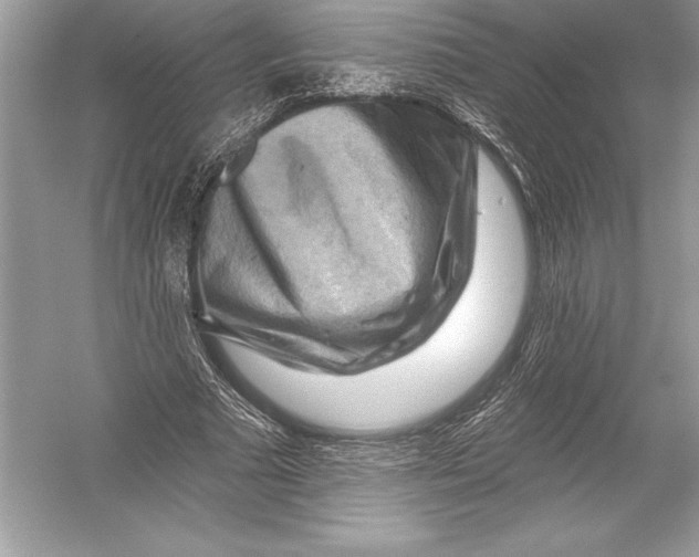 X0000051860681200507221857