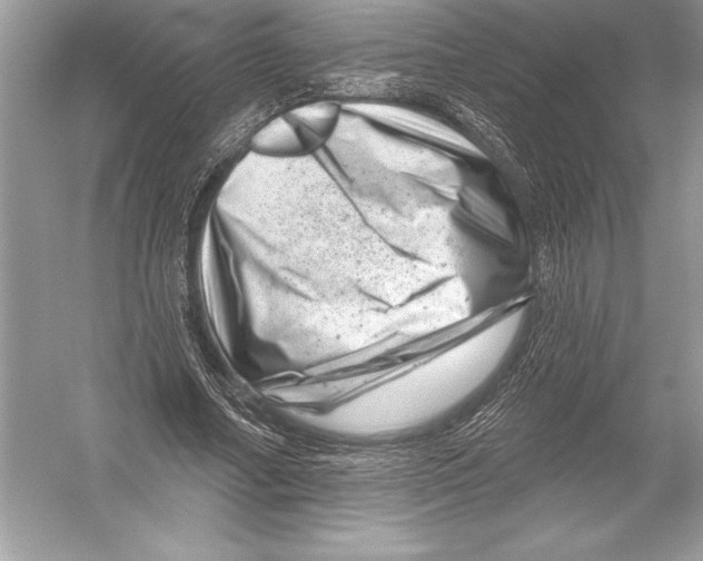 X0000051860682200507221857