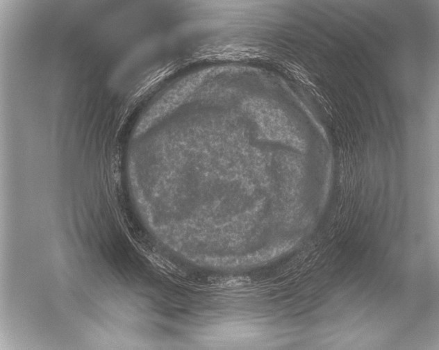 X0000051860683200507221857