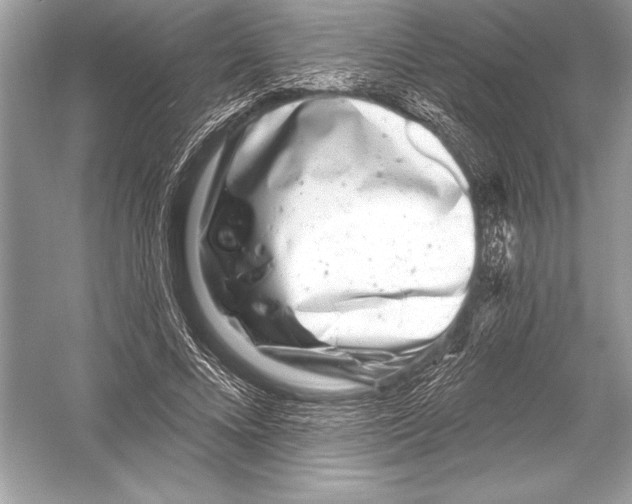 X0000051860688200507221857