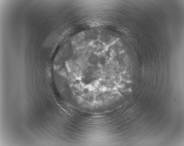 X0000051860691200507221857