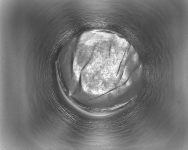 X0000051860692200507221857