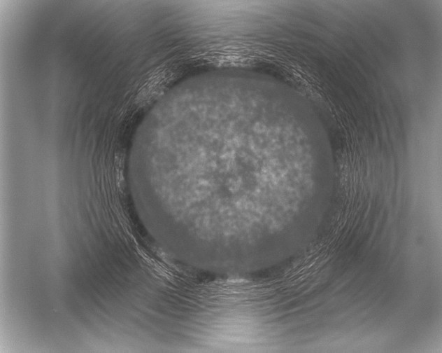 X0000051860695200507221857