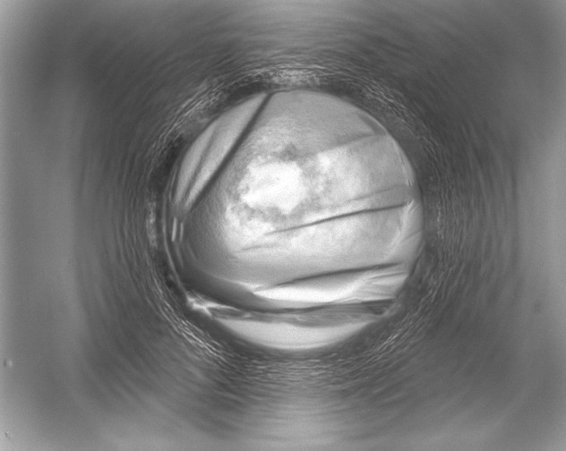 X0000051860696200507221857