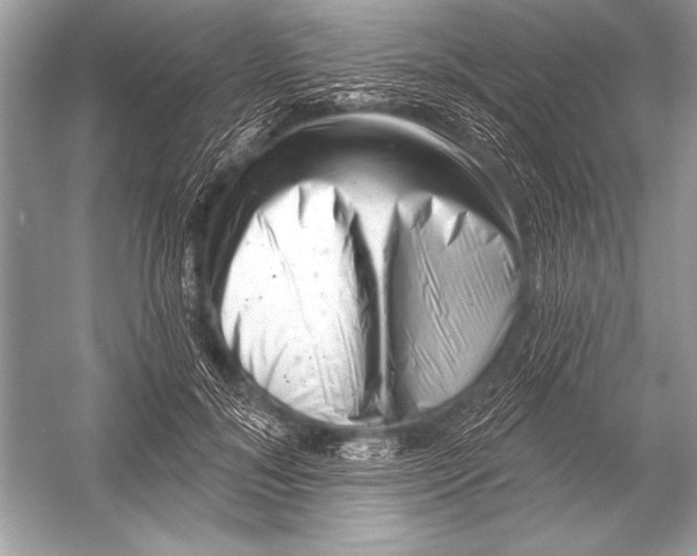 X0000051860700200507221857