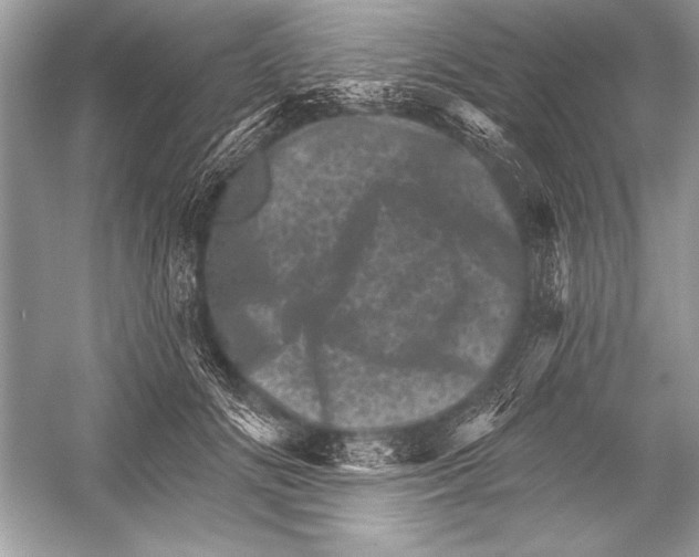 X0000051860702200507221857