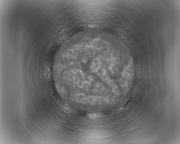 X0000051860703200507221857