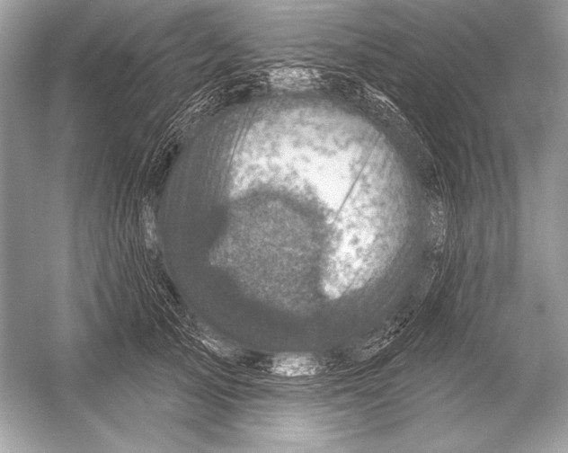 X0000051860705200507221857