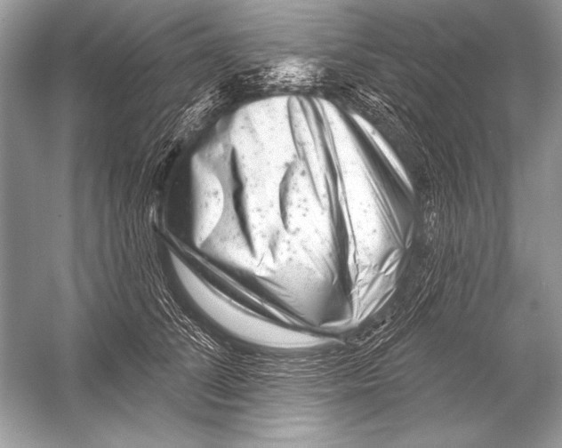 X0000051860708200507221857