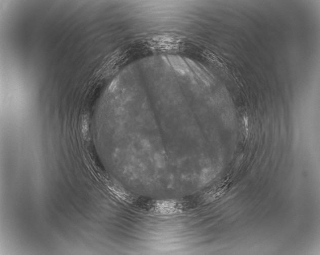 X0000051860709200507221857