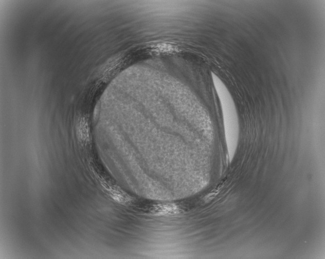 X0000051860715200507221857