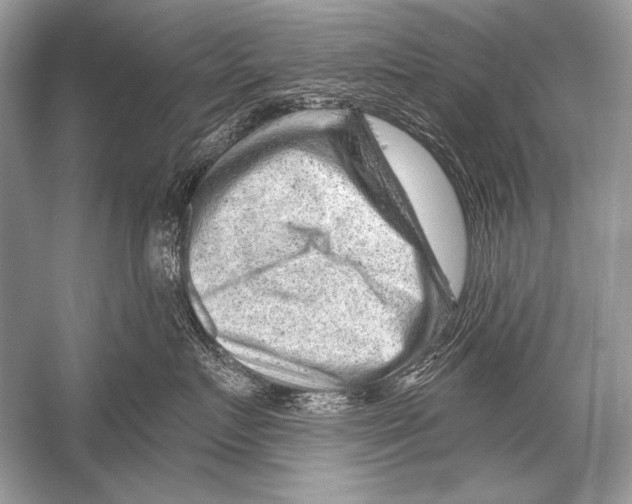 X0000051860719200507221857