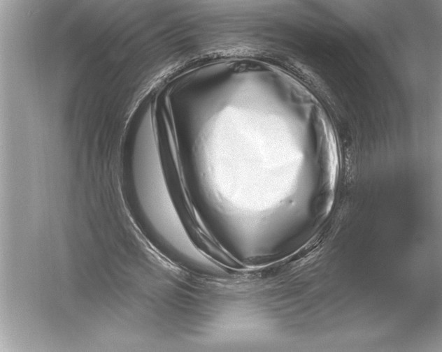 X0000051860725200507221856