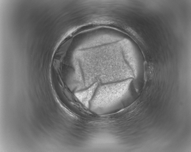 X0000051860726200507221856