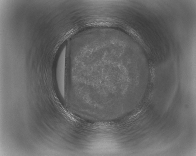 X0000051860729200507221856