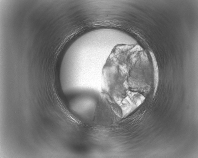 X0000051860733200507221856