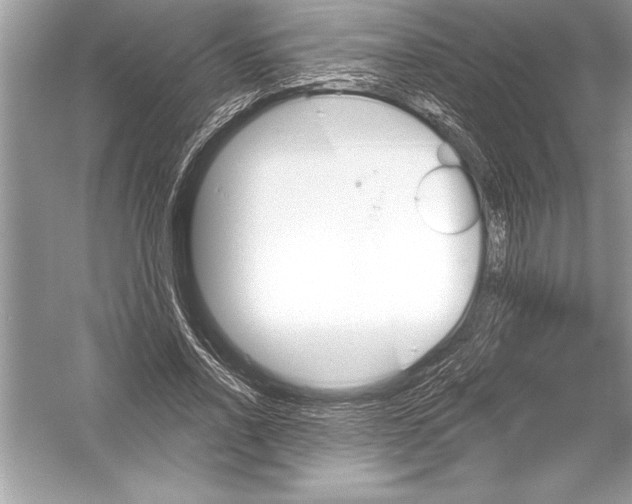 X0000051860734200507221856