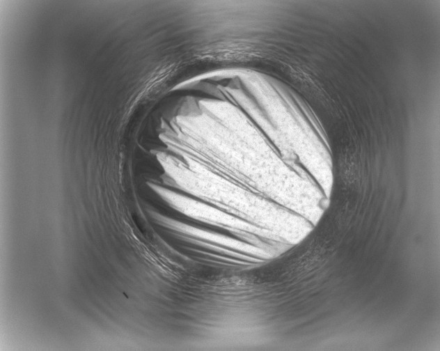 X0000051860735200507221856