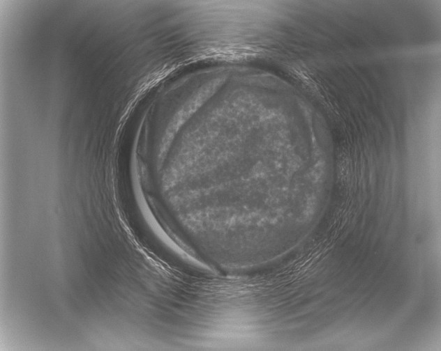 X0000051860736200507221856