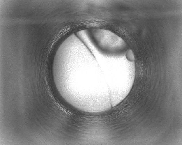 X0000051860738200507221856