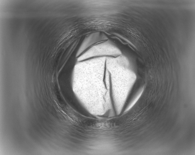 X0000051860744200507221856