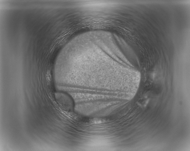 X0000051860746200507221856