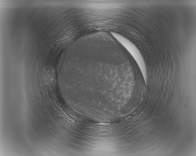 X0000051860748200507221856