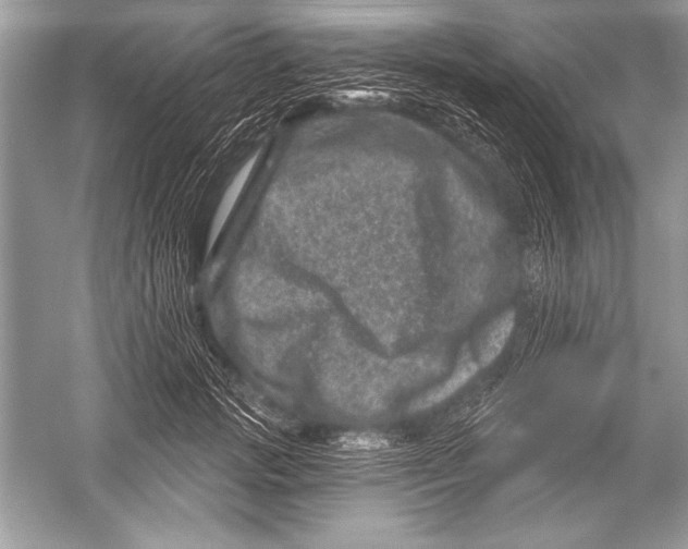 X0000051860749200507221856