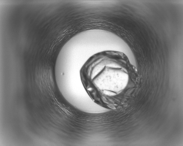 X0000051860750200507221856