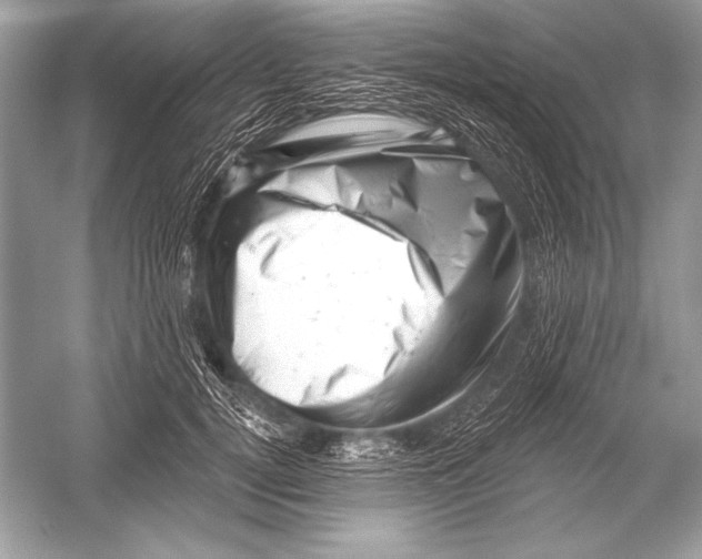 X0000051860752200507221856