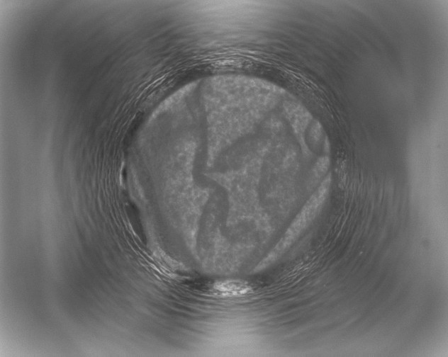 X0000051860753200507221856