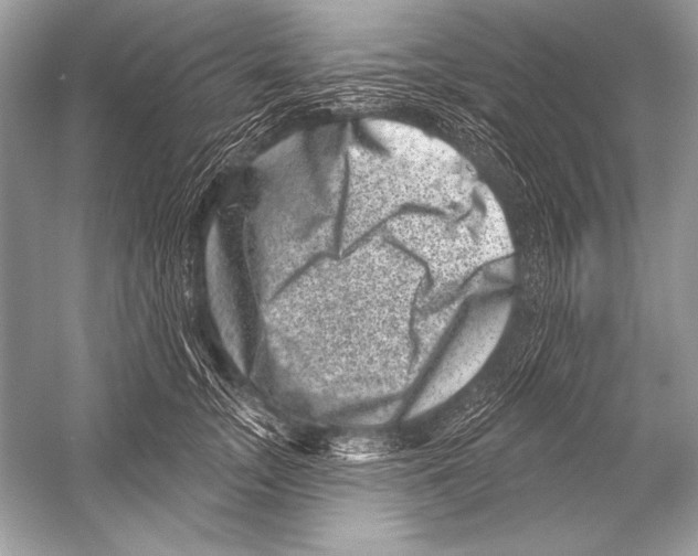 X0000051860755200507221856