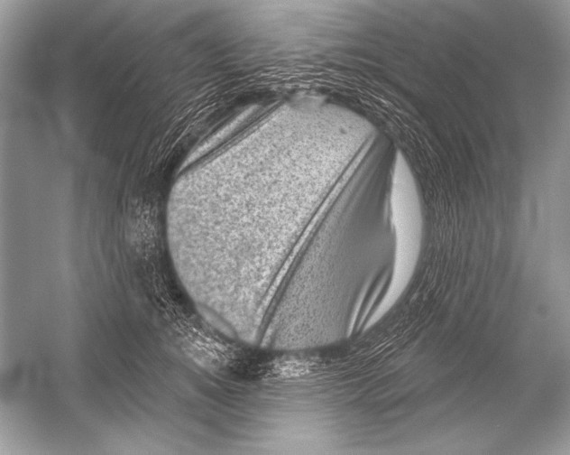 X0000051860756200507221856