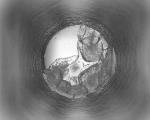 X0000051860757200507221856