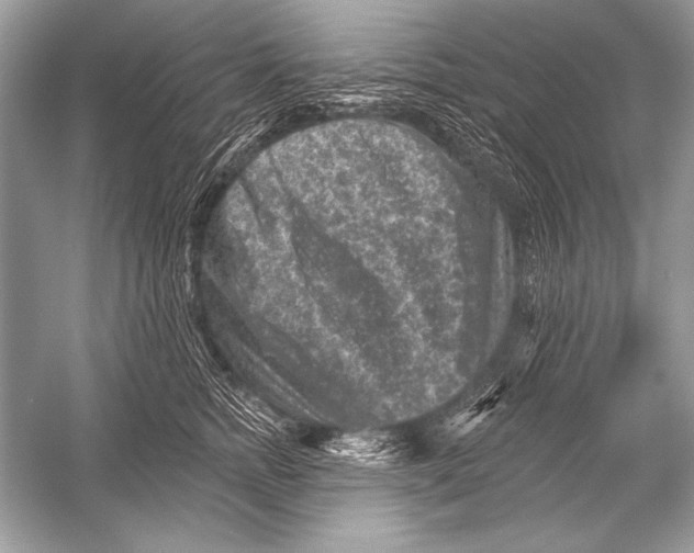 X0000051860758200507221856