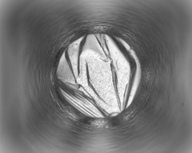 X0000051860759200507221857