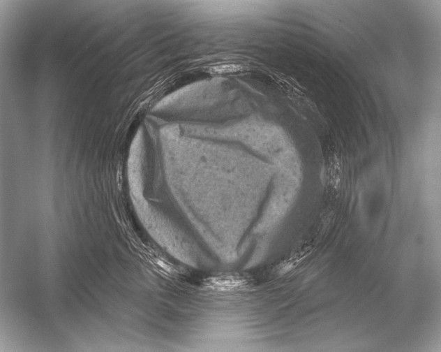 X0000051860763200507221857