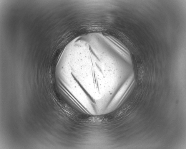 X0000051860764200507221857