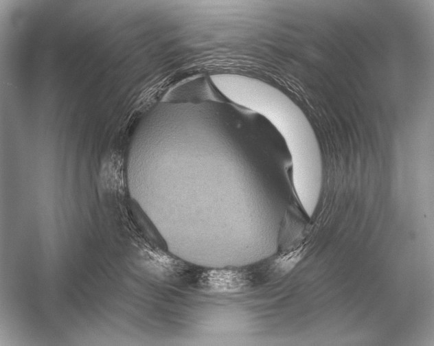 X0000051860766200507221857